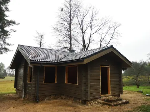 Tolkūnai